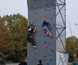 Immagine Whatsapp 2024 09 23 Ore 16.05.22 39Ea99df