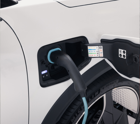 Formato 480X426 (11)